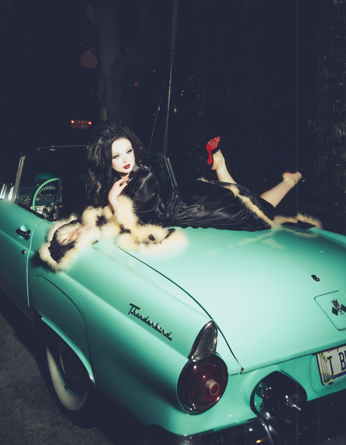 Black Dahlia Dress